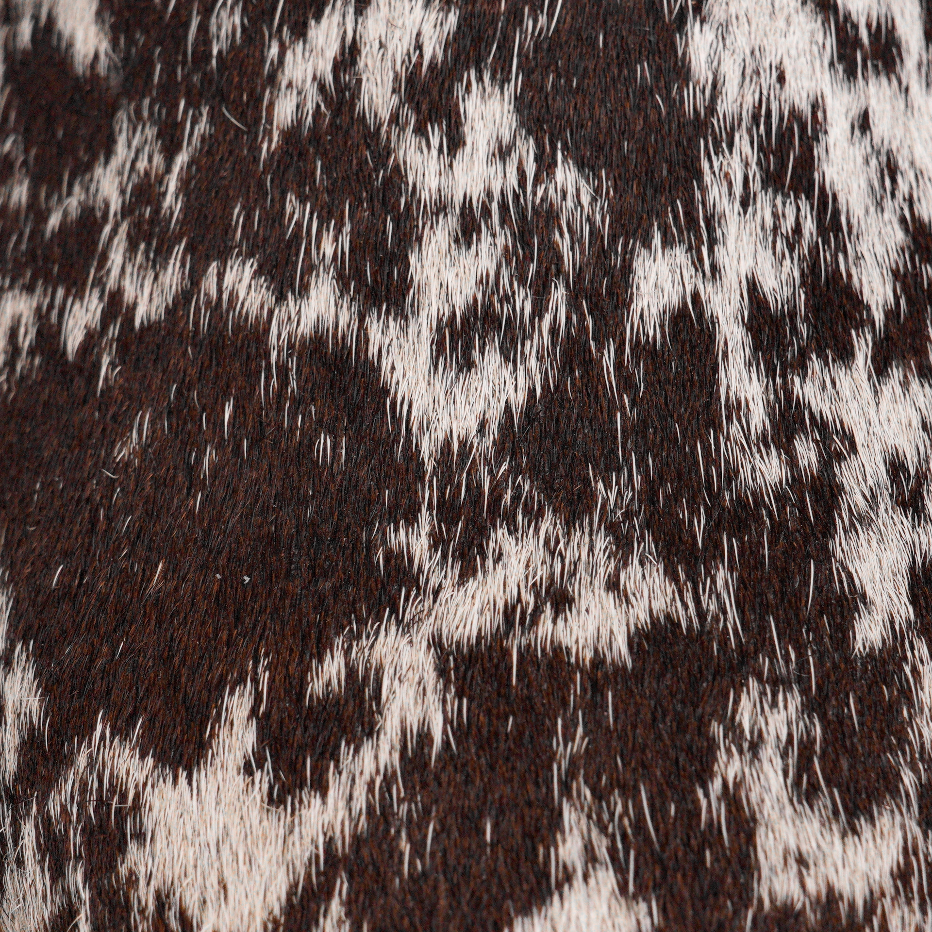 Genuine Hair On Hide – Square Toe