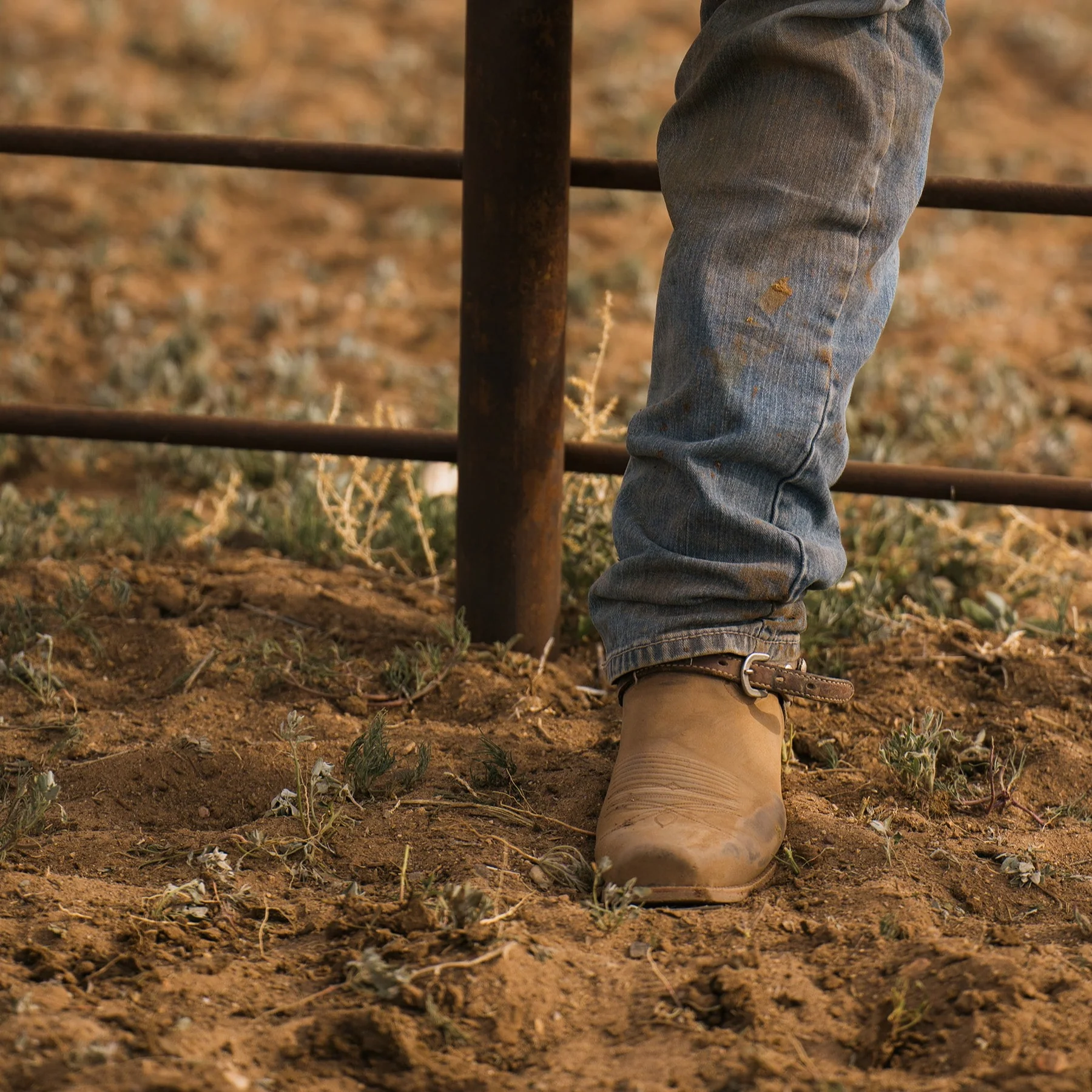 Gold Desert Embroidered Leather Cowboy Boots