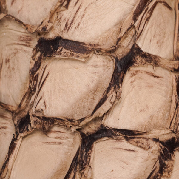 AUTHENTIC Mink Pirarucu – Square Toe