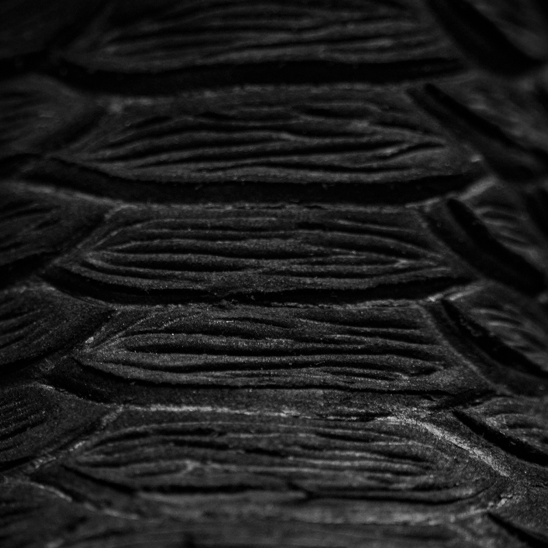 Kid’s Matte Black Python Boots
